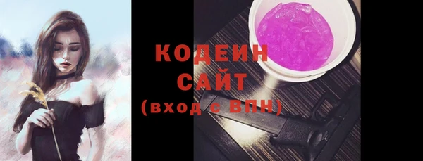 ГАЛЛЮЦИНОГЕННЫЕ ГРИБЫ Вяземский